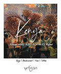 Kenya Kirinyaga lot6185  SL28、SL34 AA K72 Washed