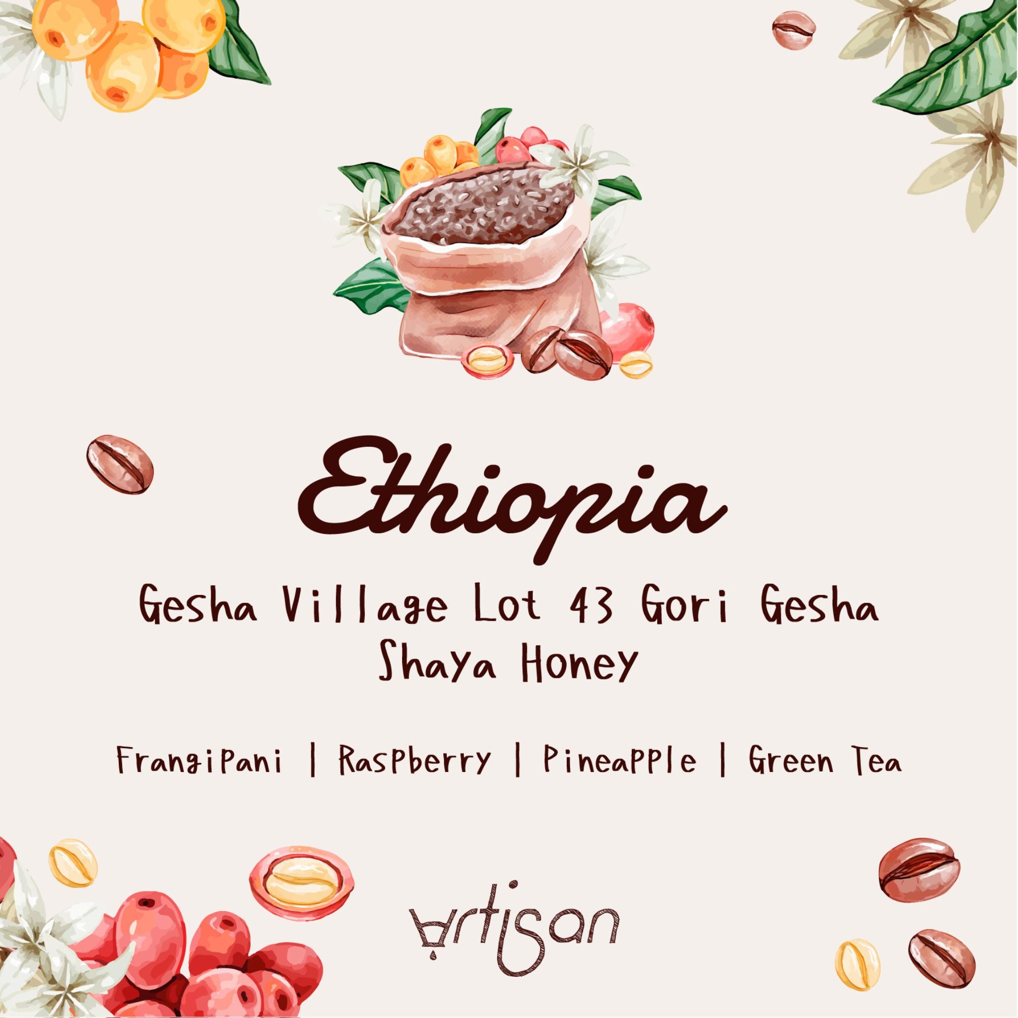 Ethiopia Gesha Village Lot 43 Gori Gesha Shaya Honey